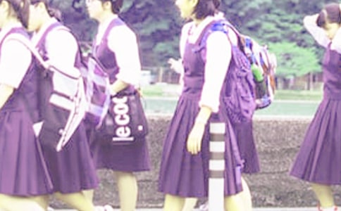 P(gun)(yu)ЌW(xu)ļ6ƪ