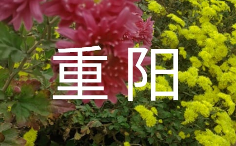 ꖵ}(bio)Z