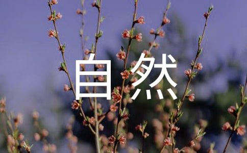 Ȼ(yu)