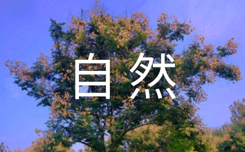 cȻСW(xu)