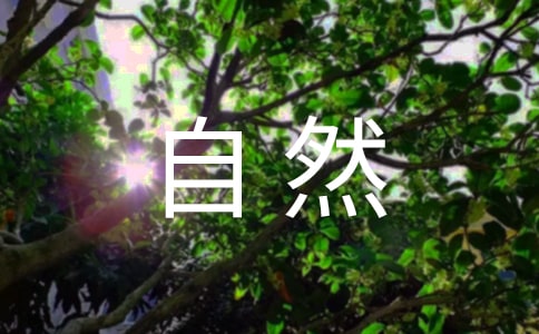 2024꾫xݴȻľ18l