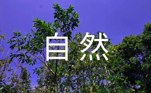 ȻĐġ(jng)䡿