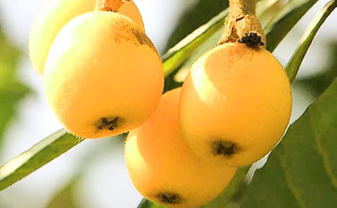 ˵