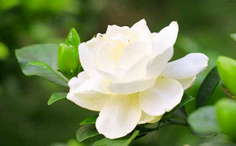 [(jng)]dӻ_
