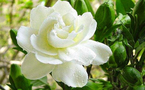 茑dӻă(yu)