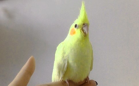 ҼҵСW^