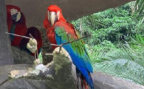 ҼҵĻƤW^ă(yu)x(5ƪ)