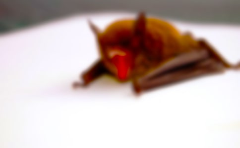 Ćʾ